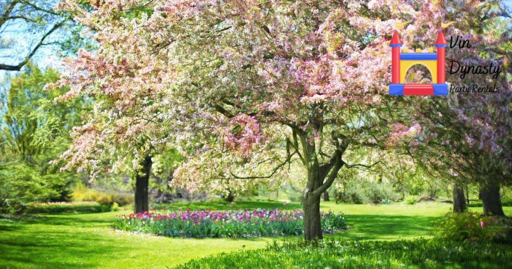 Can I Rent a Bubble House During Any Season?